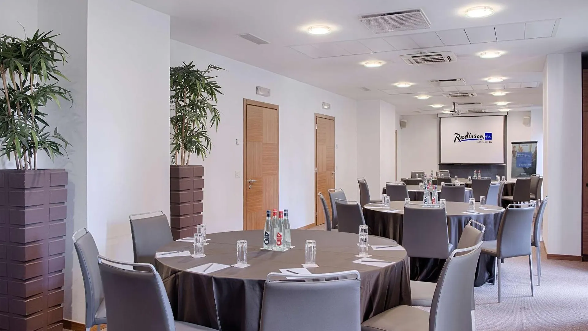 Radisson Blu Hotel Mediolan
